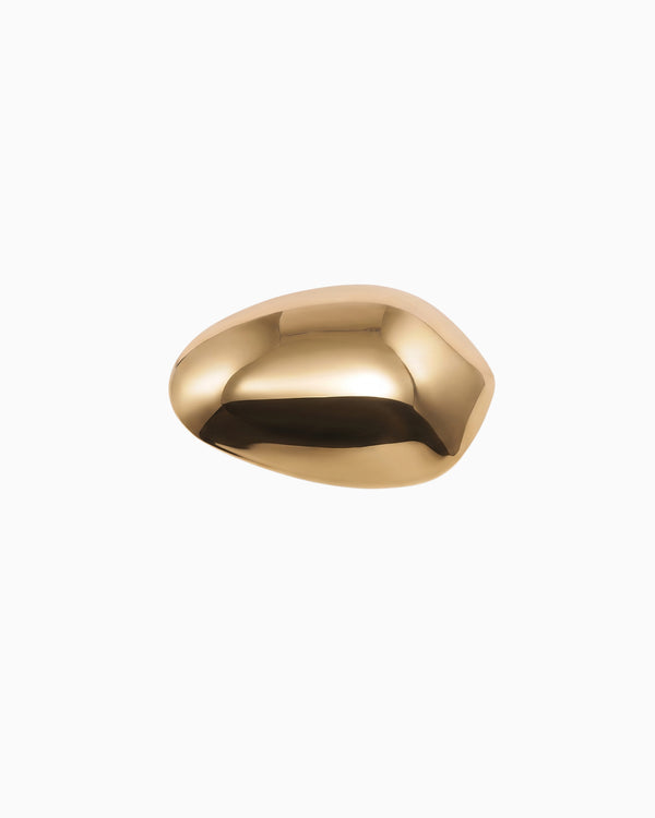 Pebble Clip