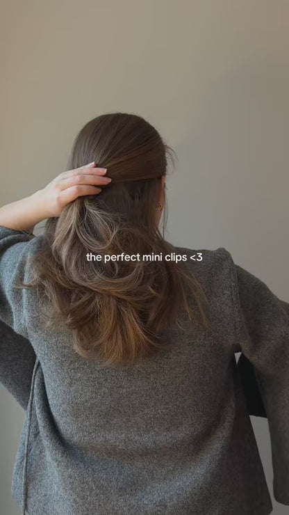 Everyday Mini Clips